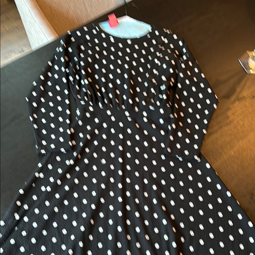 Zara women’s Polka Dot Dress size S